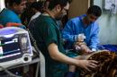 A wounded man is treated at a hospital in Iraq's Erbil after a triple car bombing at a market in Gogjali on December 22, 2016