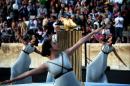 Priestesses dance around the Olympic flame burning in a cauldron, during the handover ceremony at the Panathinean stadium in Athens, on April 27, 2016