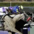 Shanghai Bobby, right, with Rosie Napravnik atop, crosses the finish line ahead of He's Had Enough, ridden by Mario Gutierrez, to win the the Breeders' Cup Juvenile horse race, Saturday, Nov. 3, 2012, at Santa Anita Park in Arcadia, Calif. (AP Photo/Gregory Bull)