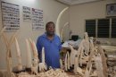 In this photo taken Tuesday, Aug. 6, 2013, alleged ivory trafficker Emile N'Bouke stands amidst seized ivory carvings and elephant tusks while talking with journalists after his arrest, at the offices of Togo's agency charged with combating the trafficking of drugs and other illicit substances in Lome, Togo. Activists say the high profile trafficker's work has fueled the slaughter of more than 10,000 elephants dating back to the 1970s. Togo's environment minister Dede Ekoue said Wednesday that N'Bouke was found to be in possession of 700 kilograms of ivory at the time of his arrest Tuesday afternoon at his shop in Lome. (AP Photo/Erick Kaglan)