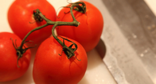 蕃茄，茄科蕃茄屬植物。微寒，味帶甘，酸。有清熱解毒、生津止渴、健胃消食的作用。