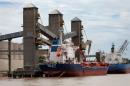 Grain is loaded onto ships for export at a port on the Parana river near Rosario, Argentina