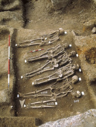En esta fotografía de folleto sin fecha proporcionada por el Museo de Arqueología de Londres aparecen esqueletos del Cementerio East Smithfield de Londres, donde fueron sepultadas víctimas de la Peste Negra en el siglo XIV. (Foto AP/Museo de Arqueología de Londres)
