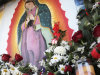 Photos and flowers honoring late singer Jenni Rivera, placed by fans next to religious images, are seen at the cemetery where her mother is buried in Hermosillo, northern Mexico, Monday, Dec. 10, 2012. U.S. authorities confirmed Monday that Rivera, a U.S.-born singer whose soulful voice and openness about her personal troubles made her a Mexican-American superstar, was killed in a plane crash early Sunday in northern Mexico. (AP Photo/Baldemar De Los Llanos)