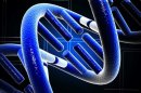 Should We Be Able to Patent Human Genes?