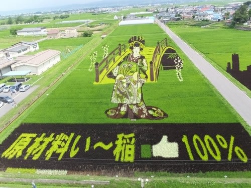 【驚奇景點】不是麥田怪圈？日本稻田畫作超吸睛