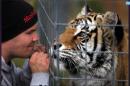 'Tiger Selfie Ban' Will Actually Protect Tiger Cubs
