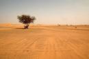 The Saharan desert in southern Algeria, near the city of Illizi, in May 2003