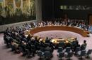 The United Nations Security Council meets to discuss the situation in Syria July 14, 2014 at the United Nations in New York