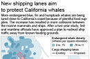 Map shows endangered whale density along the San Francisco coast as well as current and proposed cargo shipping lanes.