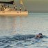 Palfrey jumped into the sea at the Hemingway International Yacht Club in western Havana
