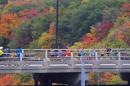 The lead pack of runners cross the Mississippi River on the Franklin Ave bridge during the Twin Cities Marathon on Sunday, Oct. 5, 2014 in Minneapolis
