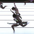 This Saturday, June 23, 2012, photo provided by USA Track & Field shows the third-place finish of the women's 100-meter final from a photo-finish camera, shot at 3,000-frames-per-second, during the U.S. Olympic Track and Field Trials in Eugene, Ore. Allyson Felix and Jeneba Tarmoh, in foreground, finished in a dead heat for the last U.S. spot in the 100 to the London Games, each leaning across the finish line in 11.068 seconds. (AP Photo/USA Track & Field)