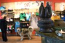 File photo of a woman shopping with her dog in a Lululemon Athletic store in San Francisco