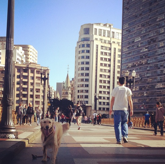 Um olhar canino sobre São Paulo [+esse tópico sim é bom][+cachorro][-cachorron] Cao-passeador9