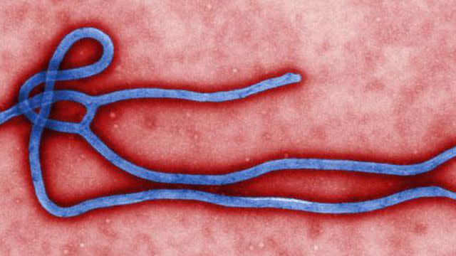Could Ebola outbreak reach the US?