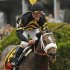 Oxbow with jockey Stevens in the irons takes first place at the 138th running of the Preakness Stakes at Pimlico Race Course in Baltimore