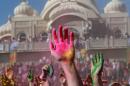 Revelers with colored corn starched hands celebrate during the 2014 Festival of Colors, Holi Celebration at the Krishna Temple Saturday, March 29, 2014, in Spanish Fork, Utah. Nearly 70,000 people are expected to gather starting Saturday at a Sri Sri Radha Krishna Temple in Spanish Fork for the annual two-day festival of colors. Revelers gyrate to music and partake in yoga during the all-day festival, throwing colored corn starch in the air once every hour. The Salt Lake Tribune reports that the large majority of participants are not Hindus, but Mormons. Thousands of students from nearby Brigham Young University come to take part in a festival that is drug and alcohol free. The event stems from a Hindu tradition celebrating the end of winter and the triumph of good over evil. (AP Photo/Rick Bowmer)