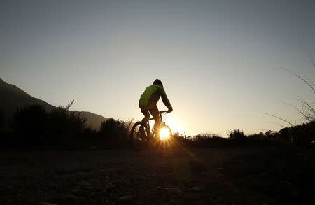 Photo: A mountain biker follows a trail in the Jonkershoek valley near Stellenbosch in the Cape Winelands, July … 