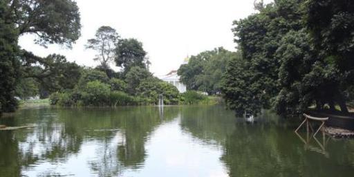 Cerita sepasang mahasiswa gancet saat mesum di Kebun Raya Bogor