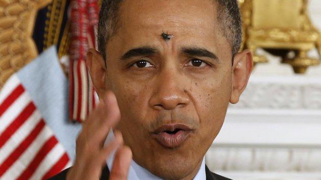 obama has made America so weak, even flies think they can come threaten us Fly-JPG_205917