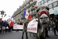 Christian fundamentalists from the Civitas Institute attend a protest march called, "La Manif pour Tous" (Demonstration for All) along with a donkey with a placard which reads, "I'm an idiot, I voted for Hollande" as they gather against France's legalisation of same-sex marriage, in Paris, May 26, 2013. REUTERS/Pascal Rossignol