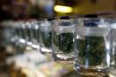 A variety of medicinal marijuana buds in jars are pictured at Los Angeles Patients & Caregivers Group dispensary in West Hollywood