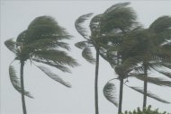 Una depresión tropical se transforma en tormenta cuando sus vientos máximos sostenidos alcanzan los 63 kilómetros por hora. EFE/Archivo