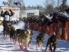 Defending Iditarod Champion Lance Mackey runs his team up the starting chute of the official start of Iditarod Trail Sled Dog Race in Willow