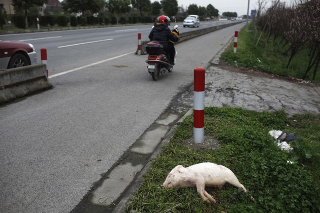A dead pig lies on a street …