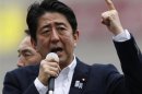 Japan's Prime Minister Shinzo Abe, who is also leader of the ruling Liberal Democratic Party, speaks to voters atop a campaign van in Tokyo