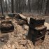 The charred remains of an outbuilding destroyed by the Ponderosa fire are seen near Manton, Calif., Monday, Aug. 20, 2012. More than 1,400 fire fighters are battling the fire that has destroyed seven homes, burned 23 square miles.  The fire that started Saturday is just 5 percent contained. (AP Photo/Rich Pedroncelli)