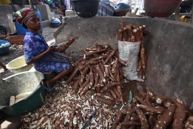 In this photo taken Friday, May 3, 2013. a woman peels cassava to make cassava flour in a Market in Lagos, Nigeria. Scientists say a disease destroying entire crops of cassava has spread out of East Africa into the heart of the continent, is attacking plants as far south as Angola and now threatens to move west into Nigeria, the world's biggest producer of the potato-like root that helps feed 500 million Africans. (AP Photo/Sunday Alamba)