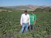 In this photo taken July 9, 2012, Alejandro Ramirez, left, and his son Alejandro Jr., right, pose among the family's hundred acre strawberry field in Salinas, Calif. Ramirez is part of a quiet cultural revolution that has changed the face of the $2.3 billion strawberry industry in California, where most growers today are Latino, a rare occurrence in the world of farming, where most growers of other crops are white. (AP Photo/Gosia Wozniacka)