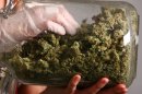 Majority Now Support Marijuana Legalization, Poll Finds