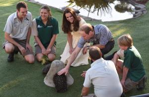 Britain's Prince William (top 2nd R) and his wife …