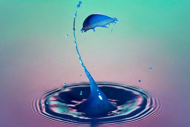 Corrie White, Liquid Drop Art, photography, water art, water droplet, milk droplet, vivid color photography