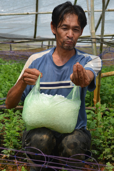 Lấy đá về nhà dùng