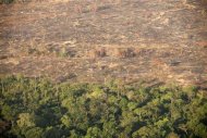 Vista aérea de parte da floresta amazônica atingida por incêndio, no Pará, em setembro de 2010. REUTERS/Paulo Whitaker