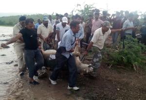 Indian rescue workers carry the body of an Asiatic&nbsp;&hellip;