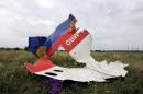 A piece of the wreckage of the Malaysia Airlines flight MH17 in Shaktarsk, eastern Ukraine on July 18, 2014, a day after it crashed