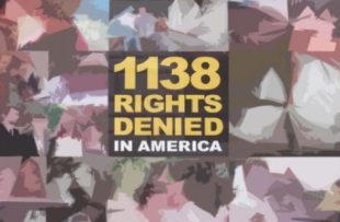 1138 rights are denied by not allowing gay marriage
