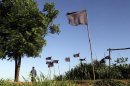 In this Nov. 13, 2012 photo, a farmer walks behind black flags representing 11 landless farmers who were killed during clashes with police in the Yvy Pyta settlement near Curuguaty, Paraguay. The 