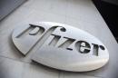 The Pfizer logo is seen at their world headquarters in New York