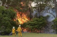 Bomberos intentan extinguir las llamas de un incendio declarado en la Bahía de Catherine Hill en Nueva Gales del Sur en Australia. EFEPersonas afectadas por el incendio regresan a sus hogares después de que un fuego incontrolado pasara por Winmalee, al oeste de Sídney (Australia). EFE