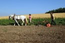 A woman plows on a farm in June 2012 on land in southwestern France
