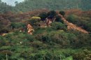 Vista de la zona arqueológica de Toniná, en el municipio de Ocosingo, Chiapas, en el sur de México, en 2000