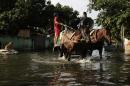 Men selling vegetables drive their horse-drawn cart through a flooded street in the Tacumbu neighborhood of Asuncion, Paraguay, Wednesday, Dec. 23, 2015. The Paraguay River is at its highest level since 1984 and threatening the poor districts that surround the capital, forcing about 100,000 people to shelters. (AP Photo/Jorge Saenz)
