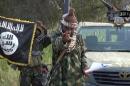 A screengrab taken on October 2, 2014 from a video released by the Nigerian Islamist extremist group Boko Haram show the group's leader Abubakar Shekau
