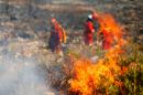 Firefighters fight a wildfire next to a residential area along the coastline near the Spanish resort of Javea, Valencia region, on September 5, 2016